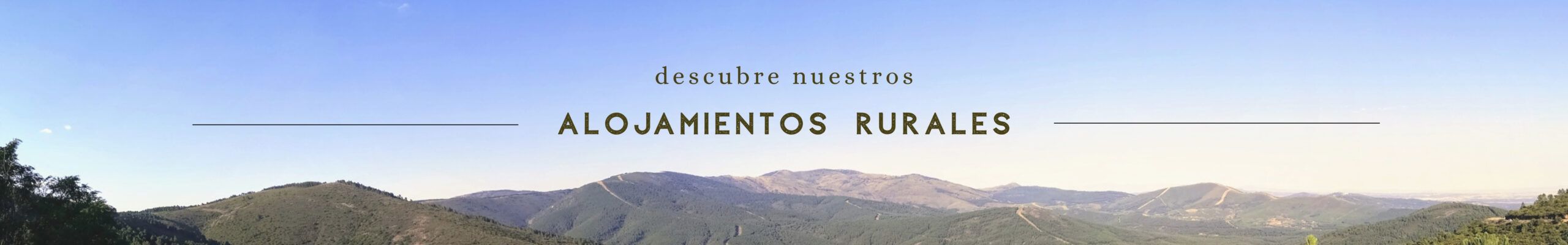 Inicio 2 banner scaled