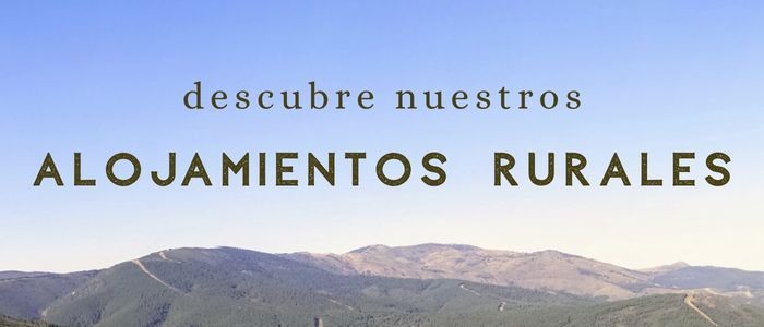 banner inicio móvil